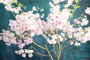 Sakura rose bleu sur Remke Spijkers