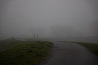 Se perdre dans le brouillard