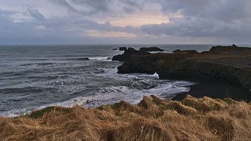 De kust van Dyrhólaey van Timon Schneider