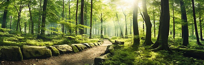 Panorama de la forêt par fernlichtsicht