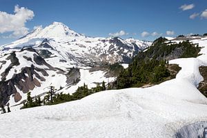 Mount Baker