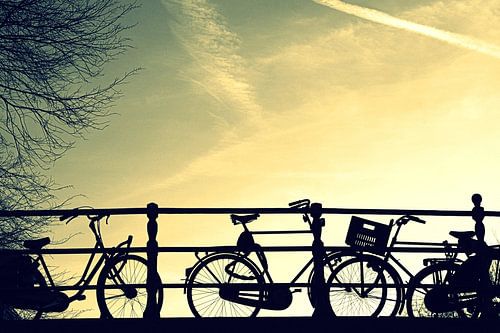 Amsterdam Bicycles