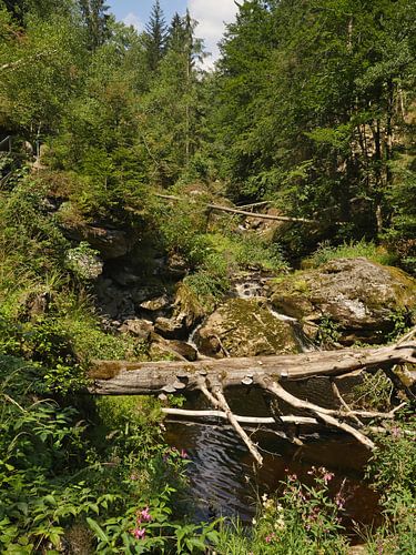 In der Steinklamm bei Spiegelau in Bayern 4