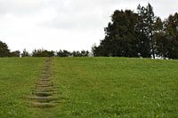 Groen landschap