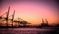 Haven Rotterdam