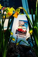 VW Campervan