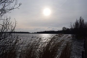 Windy morning by Shelby Greven