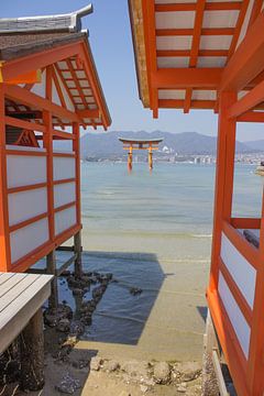 Fushimi-Inari Taisha in Japan van Mfixfotografie