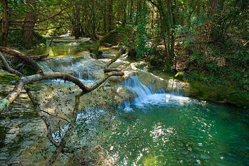 Source de l'huveaune in Frankrijk van Tanja Voigt