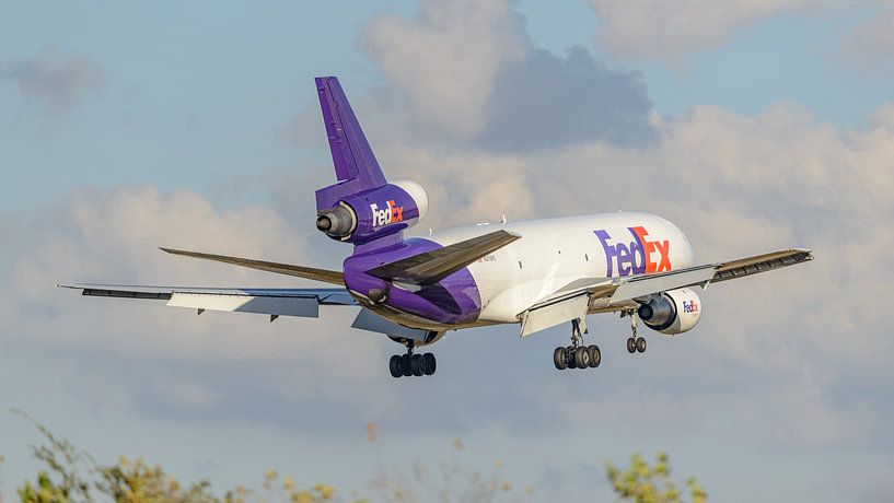 FedEx McDonnell Douglas DC-10 cargo plane. by Jaap van den Berg