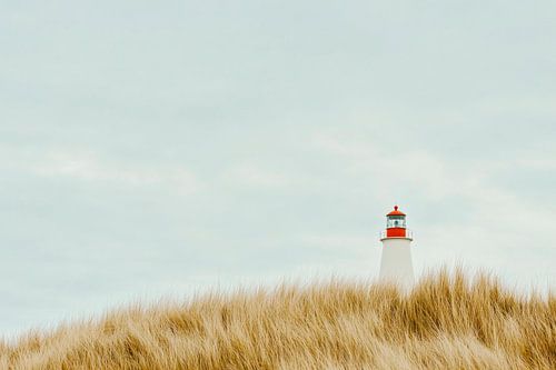 Vuurtorenduinen