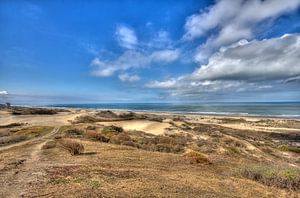 Hollandse Kust