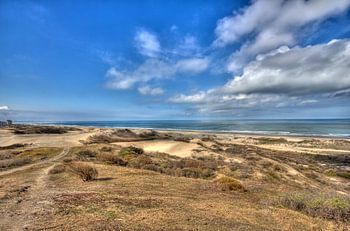 niederländische Küste