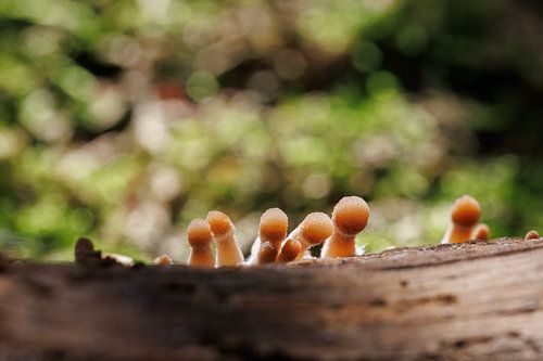 Peeking over the Edge