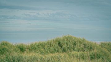 Dunes II sur Rogier Kwikkers