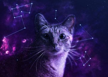 Galaxy Cute Cat van Lemo Boy