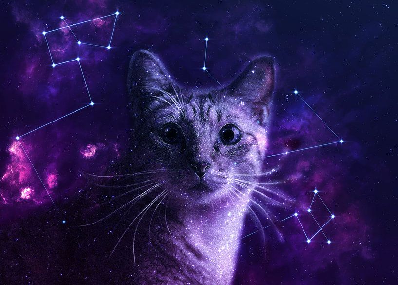 Galaxy Cute Cat von Lemo Boy