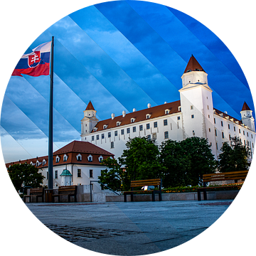 Bratislava kasteel in Slowakije van Marnix Teensma