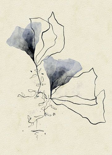 Subtle softness by AnkieArt