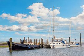 Boats in De Cocksdorp by AD DESIGN Photo & PhotoArt