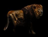 King of the Wilderness