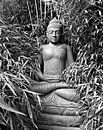 Boeddha van Jessica Berendsen thumbnail