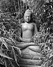  Buddha by Jessica Berendsen