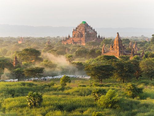 Sunset at temple field in Bagan, Myanmar by Shanti Hesse