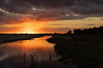Coucher de soleil sur le parc national des Everglades