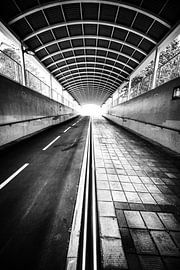 Ypsilon von Cho Tang