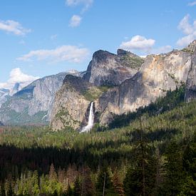 Een prachtig uitzicht van El Capitan in Yosemite National Park van Roosmarijn Jongstra