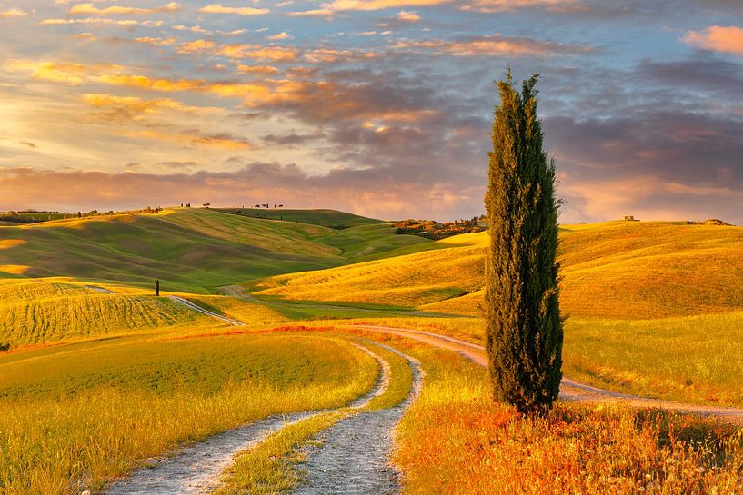Droomachtig Toscane van Markus Lange