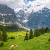 Uitzicht op de bergen Eiger en Mattenberg bij Grindelwald in Zwitserland van Peter Apers