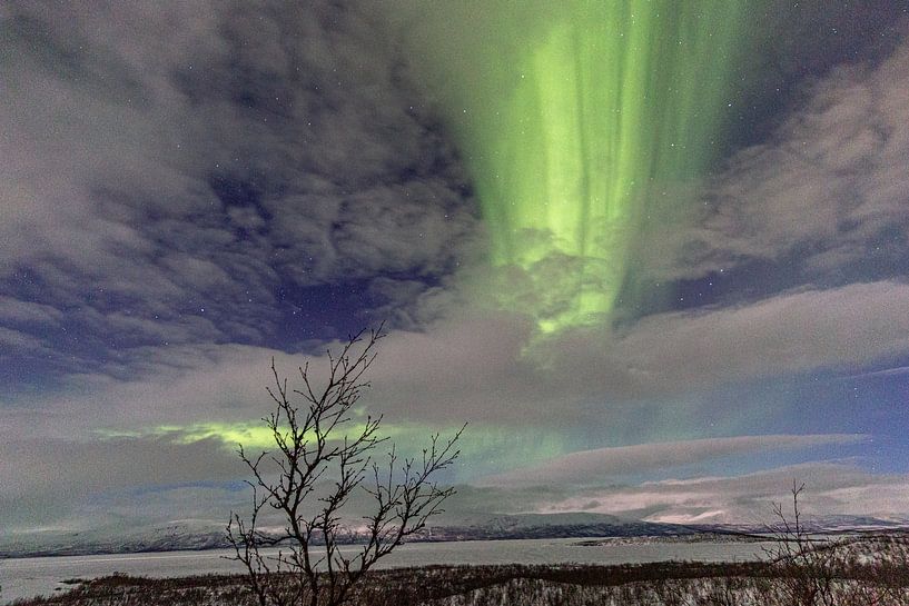 Northern Lights over Abisko - Green flowing in the Arctic sky by Fototante
