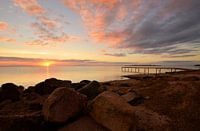 Golden hour in Jutland