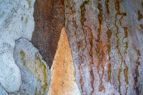 Schönheit der Farben im abstrakten Bild