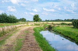 Rijkerswoerdse Plassen, a natural fens by Werner Lerooy