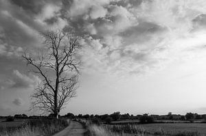 Landschap van Sander Strijdhorst