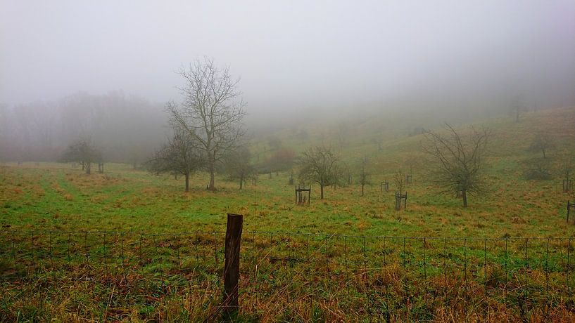 Vallée de la Brume par Naturfotografie Harald Reinl