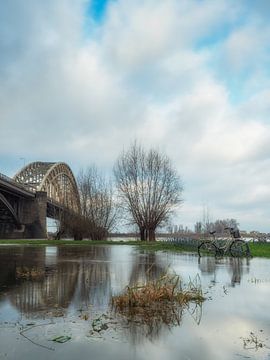 Nijmegen Hochwasser #14