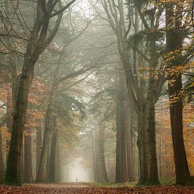 De wandelaar in de mist in het bos van Jos Erkamp