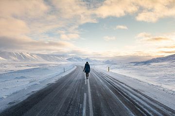 Onderweg op planeet IJsland van Ann Cools