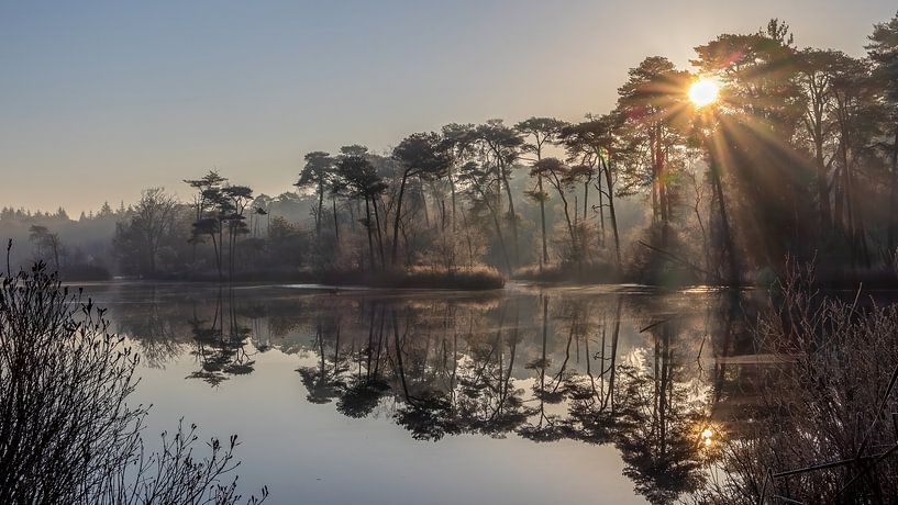 Oisterwijkse Bossen en Vennen by Julienne van Kempen