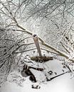 Réservoir dans la neige #1 par Olivier Photography Aperçu