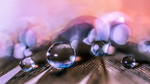 Waterdruppel op een veertje met bokeh achtergrond