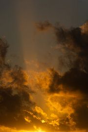 Sonnenuntergang, Rotterdam von Nynke Altenburg