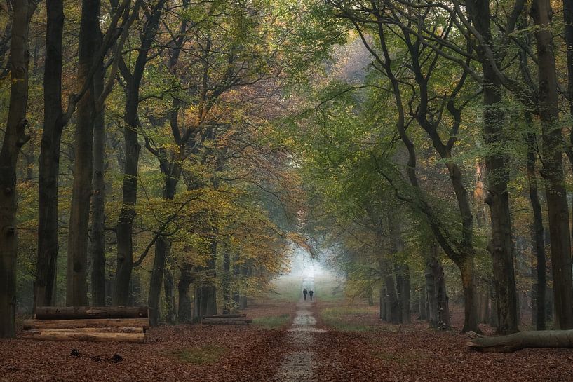 Hikers in the forest by Moetwil en van Dijk - Fotografie