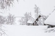 Lapland van Frank Peters thumbnail