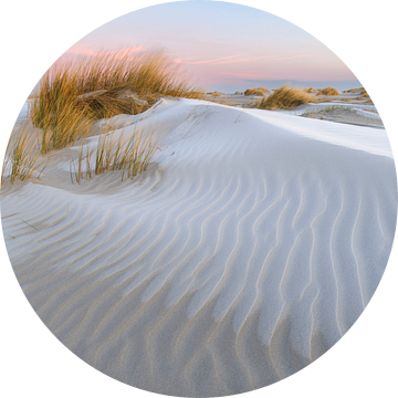 Vorst in de duinen op Ameland