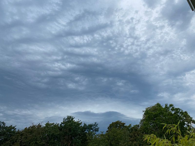 Wolkendek met groen van Emma Van Leur